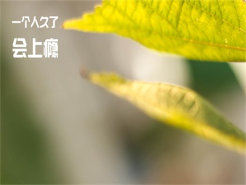 TQSKY发布新一代XR眼镜T2，搭载Micro OLED方案
