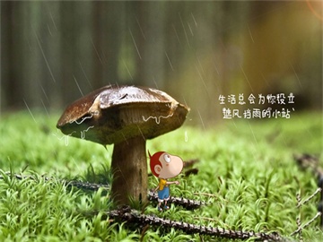 新型纳米涂层技术有望提升LED路灯能源效率